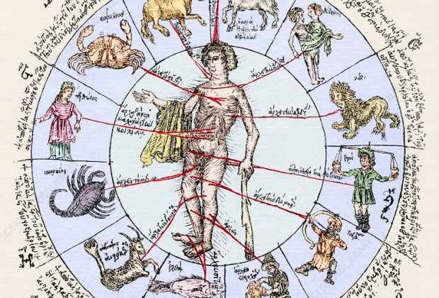 Medical zodiac, 15th century diagram