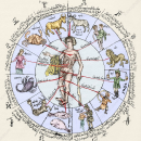 Medical zodiac, 15th century diagram – Stock Image – N800/0145 – Science Photo Library