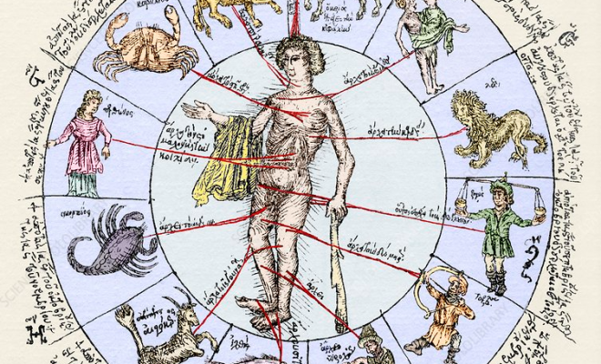 Medical zodiac, 15th century diagram – Stock Image – N800/0145 – Science Photo Library