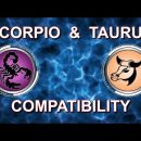 Scorpio & Taurus Compatibility | taurus, gemini, leo, aquarius, pisces, scorpio, virgo, zodiac signs