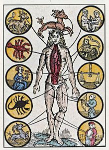 Wall Art – Photograph – Woodcut With Medical Zodiac by Science Source