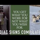 Zodiac Signs Compilation
