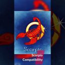 Scorpio Compatibility #Shorts #Scorpio #Horoscope #Zodiac