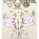 10 inch Photo. Medical zodiac, 15th century diagram