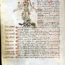 Medical Zodiac-Man – Quatre éléments — Wikipédia