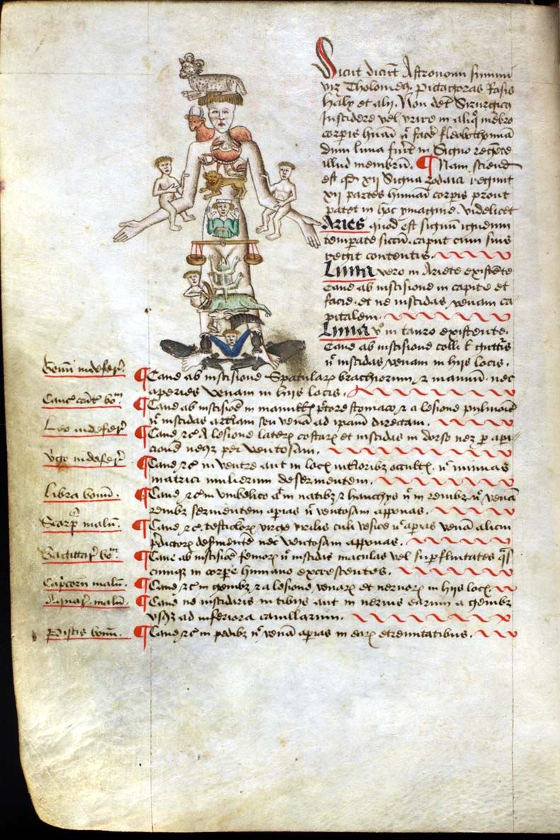 Medical Zodiac-Man – Quatre éléments — Wikipédia