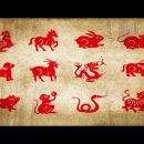 Astrology: Spirit Animals Based on Your Chinese Zodiac Sign