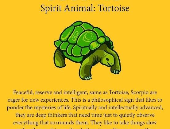 Spirit Animal Scorpio
