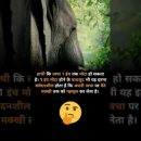 facts about elephant #facts #shorts