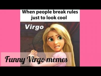 Funny Memes on Virgo #memes #virgo #zodiac #sign #virgin #virgoseason #astrology #astroloa #shorts