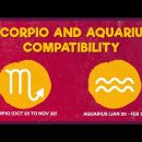 Scorpio and Aquarius Compatibility | Zodiac Compatibility | Scorpio and Aquarius Friendship