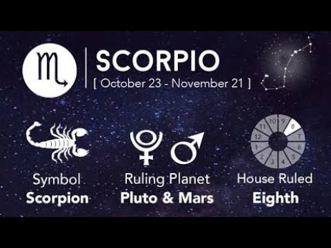 Scorpio |🦂♏| zordiac sign| horoscope|2020