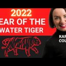 Year of the Water Tiger 2022 | Why Is This Year Special? – Predictions