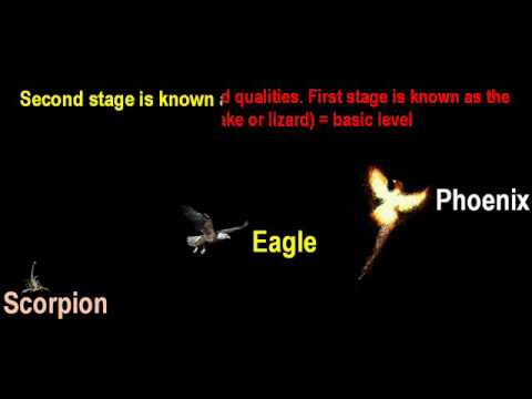 Three Stages of Scorpio zodiac sign – Scorpion Eagle Phoenix
