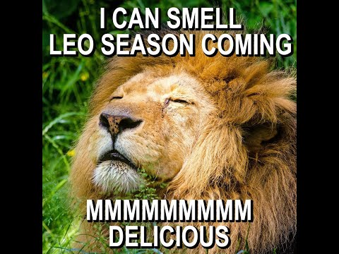 Leo Memes – Funny Leo Zodiac Memes Compilation