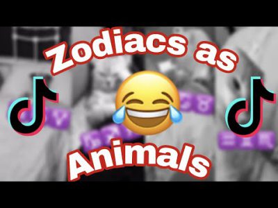 ZODIAC SIGNS AS ANIMALS 😂