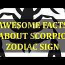 AWESOME FACTS ABOUT SCORPIO ZODIAC SIGN