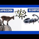 Capricorn vs. Scorpio: Who Is The Strongest Zodiac Sign?