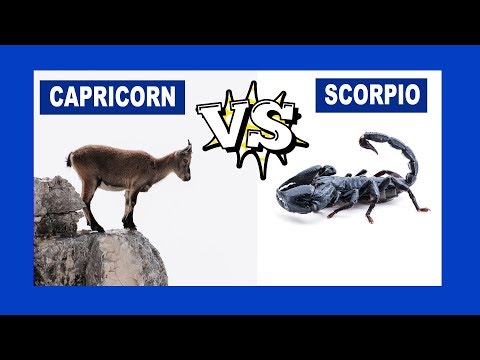 Capricorn vs. Scorpio: Who Is The Strongest Zodiac Sign?
