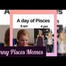 Funny Memes On Pisces #Pisces #Fish #zodiac #Memes #astrologymemes #astrology #astroloa #shorts