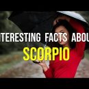 Interesting Facts About Scorpio