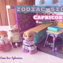 Funny Zodiac Signs – Advice for Capricorn | Sylvanain Families | Calico Critters Stop Motion 2022