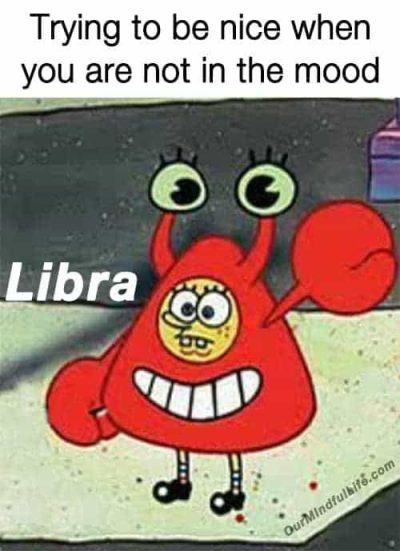 33 Funny Libra Memes That Are Calling You Out – Our Mindful Life