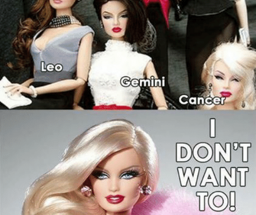 Aries, Gemini, and Libra: YOU CAN’T SIT WITH US Aries Pisces Leo Gemini Cance…