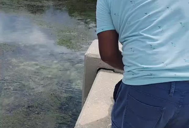 tiburones #panoramic #sharks #shark #pesca #pescando #keywest #bahia