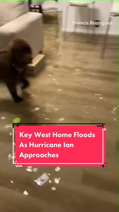 A home in Key West floods as Hurricane Ian makes its way towards Florida. #keywest #hurricane #hurricaneian #florida #floridastate #weather #weathertok #newstok