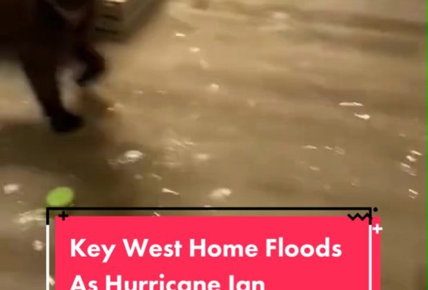 A home in Key West floods as Hurricane Ian makes its way towards Florida. #keywest #hurricane #hurricaneian #florida #floridastate #weather #weathertok #newstok