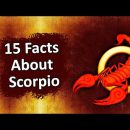 15 Facts About Scorpio Zodiac Sign