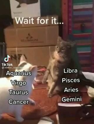 Zodiac tiktok