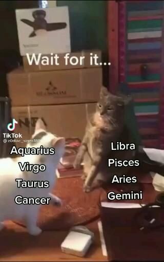 Zodiac tiktok