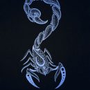 Scorpio zodiac sign Minimalistic Poster Print | metal posters