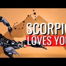 20 Clear SIGNS Scorpio Man Likes You But Is Hiding It!