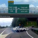 28 Scorpio Memes That Are Painfully Accurate – Our Mindful Life