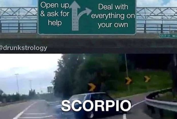 28 Scorpio Memes That Are Painfully Accurate – Our Mindful Life