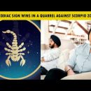 Which Zodiac Sign Wins in a Quarrel Against Scorpio Zodiac | #shorts