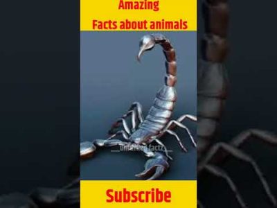 Amazing Facts about scorpio | random facts | facts in hindi | #shorts #facts #viral #ytshorts