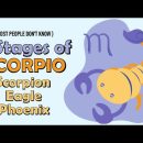 3 Stages of SCORPIO Zodiac Sign