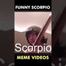FUNNY Scorpio Memes – (Part 6) | Zodiac Signs TikTok #Shorts