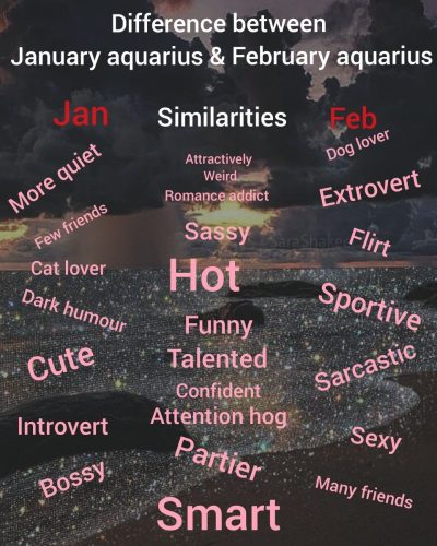 (Which one are you, or do u know an♒) The difference between Jan and feb aqua 😊❤ #aquarius I’m feb❤