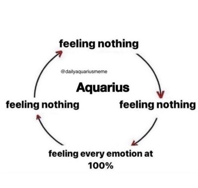 Aquarius meme