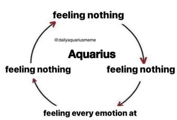 Aquarius meme