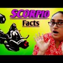Scorpio Sign in Astrology | Scorpio Sign Facts | Scorpio Sign traits | All about Vrishchik Rashi.