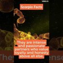 Scorpio Facts