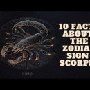 10 facts about Scorpio zodiac sign