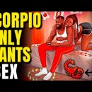 Are You Sleeping With A Scorpio? 9 Signs A Scorpio Is Using You For Sex | Zodiac Signs Facts