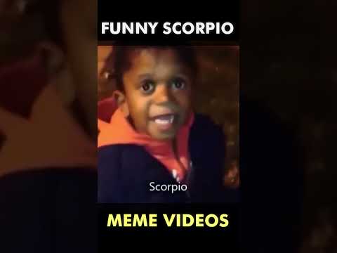 FUNNIEST Scorpio Memes – (Part 3) | Zodiac Signs TikTok #Shorts